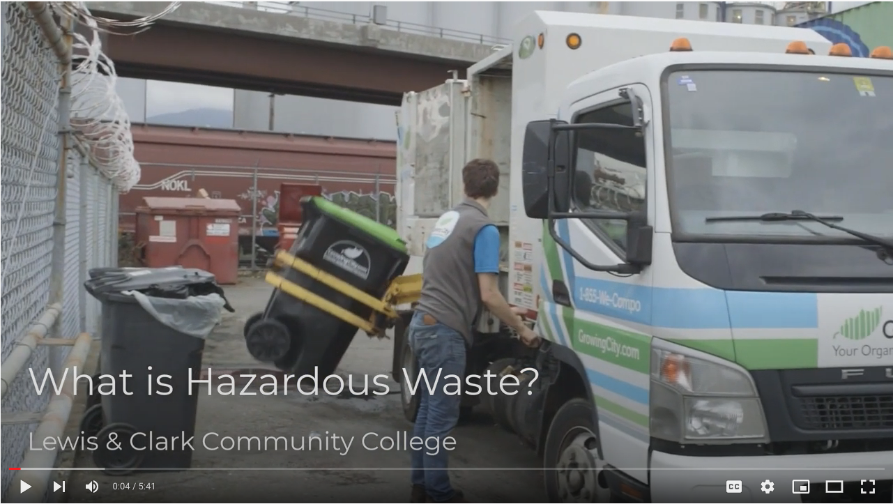 Environmental Sustainability Video Module for Fifth-Grade Students